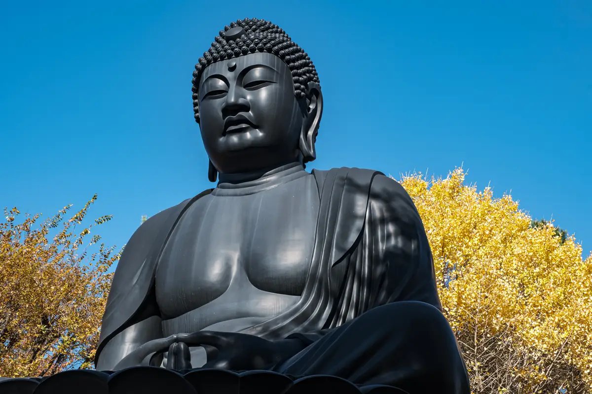 🙏 도쿄 대불(도쿄 다이부츠) 이미지 6